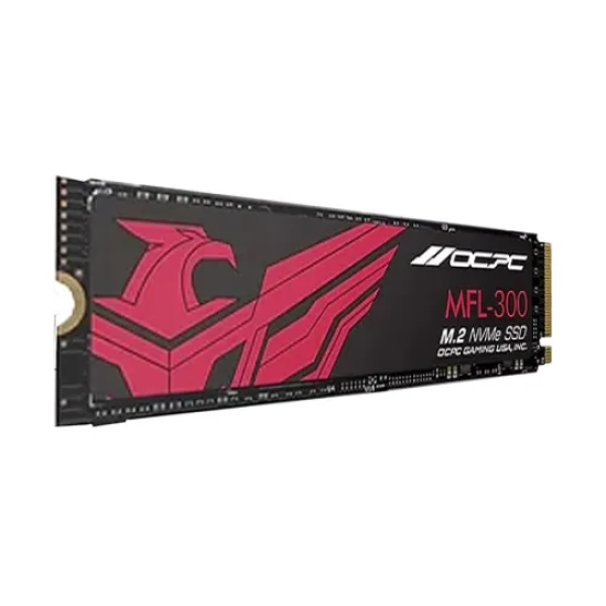 OCPC MFL-300 256GB M.2 NVMe SSD